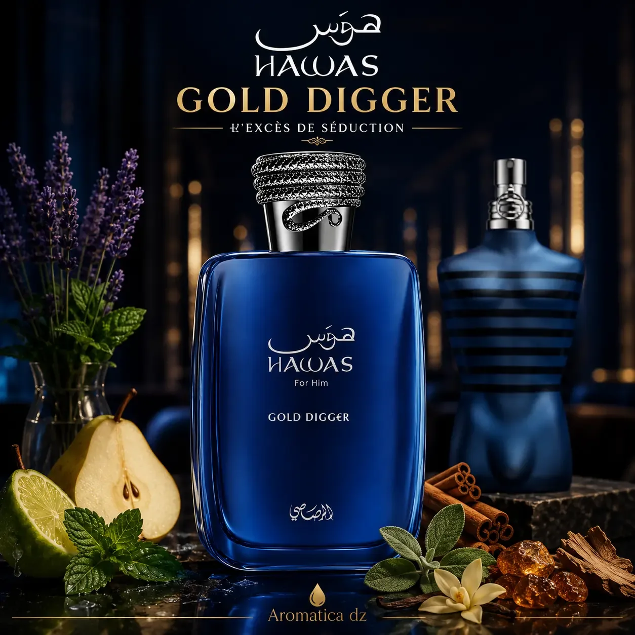 HAWAS GOLD DIGGER 