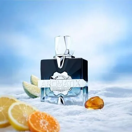 AROMATIX FROST BITE dupe gissada ambassadour men 