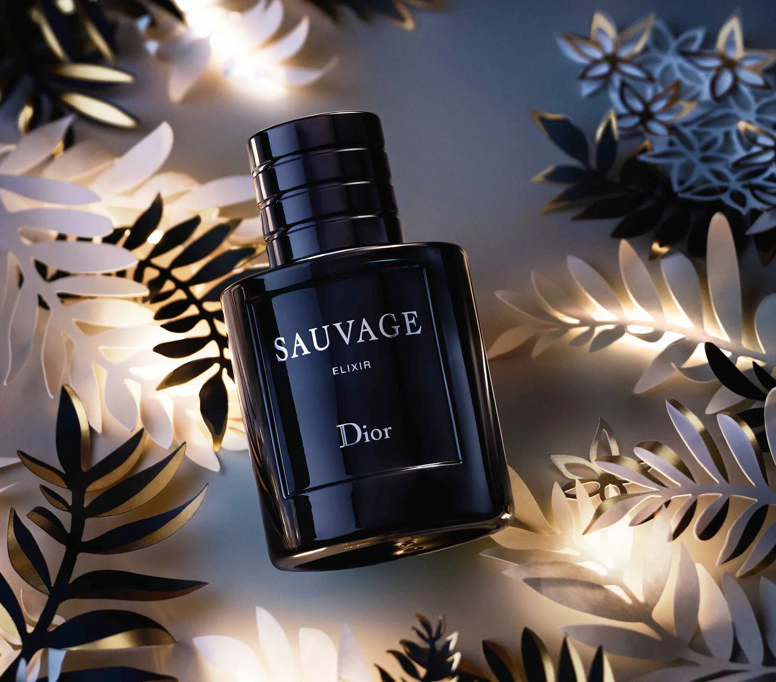 Sauvage Elixir Dior (10 ML)